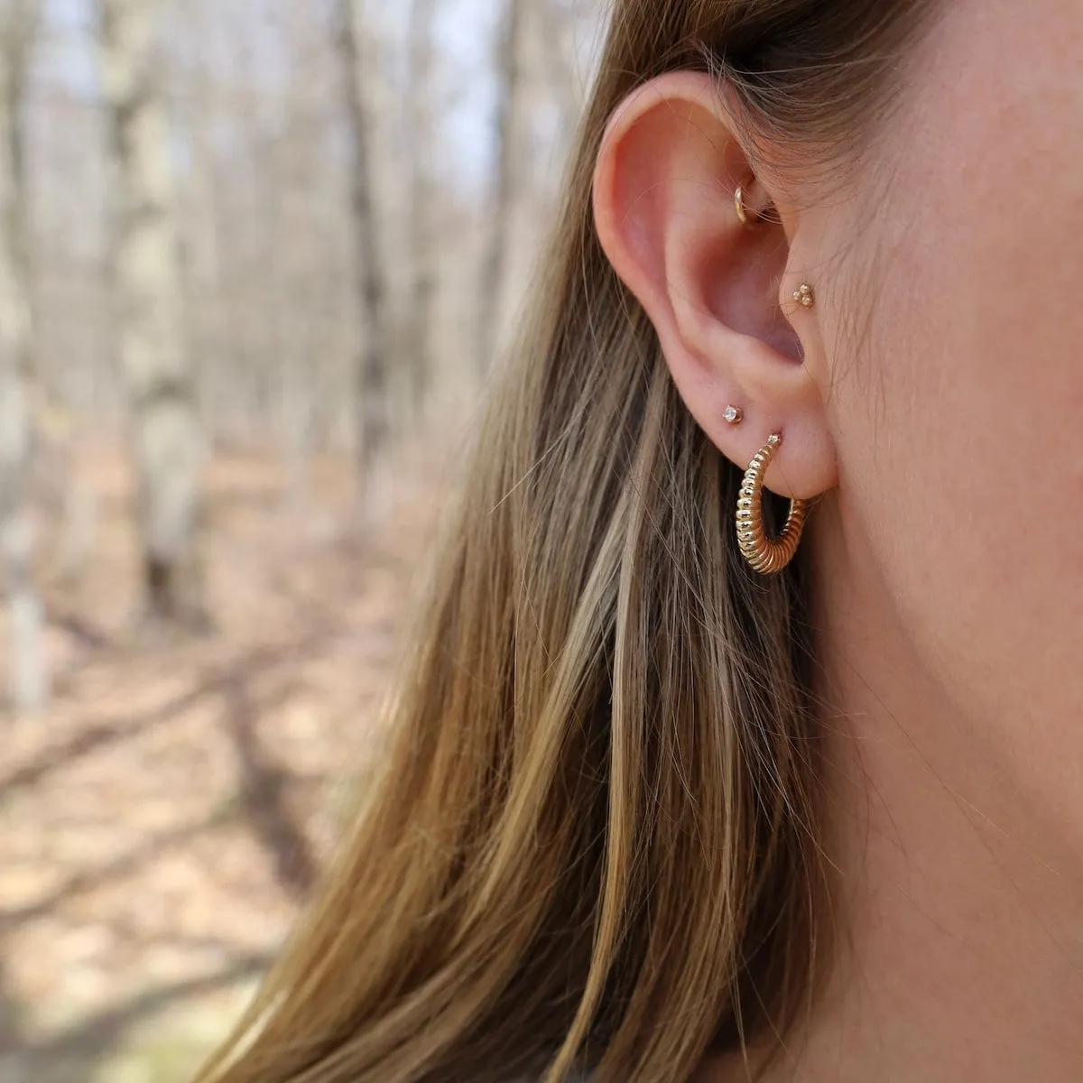 14k Small Shrimp Shell Hoops