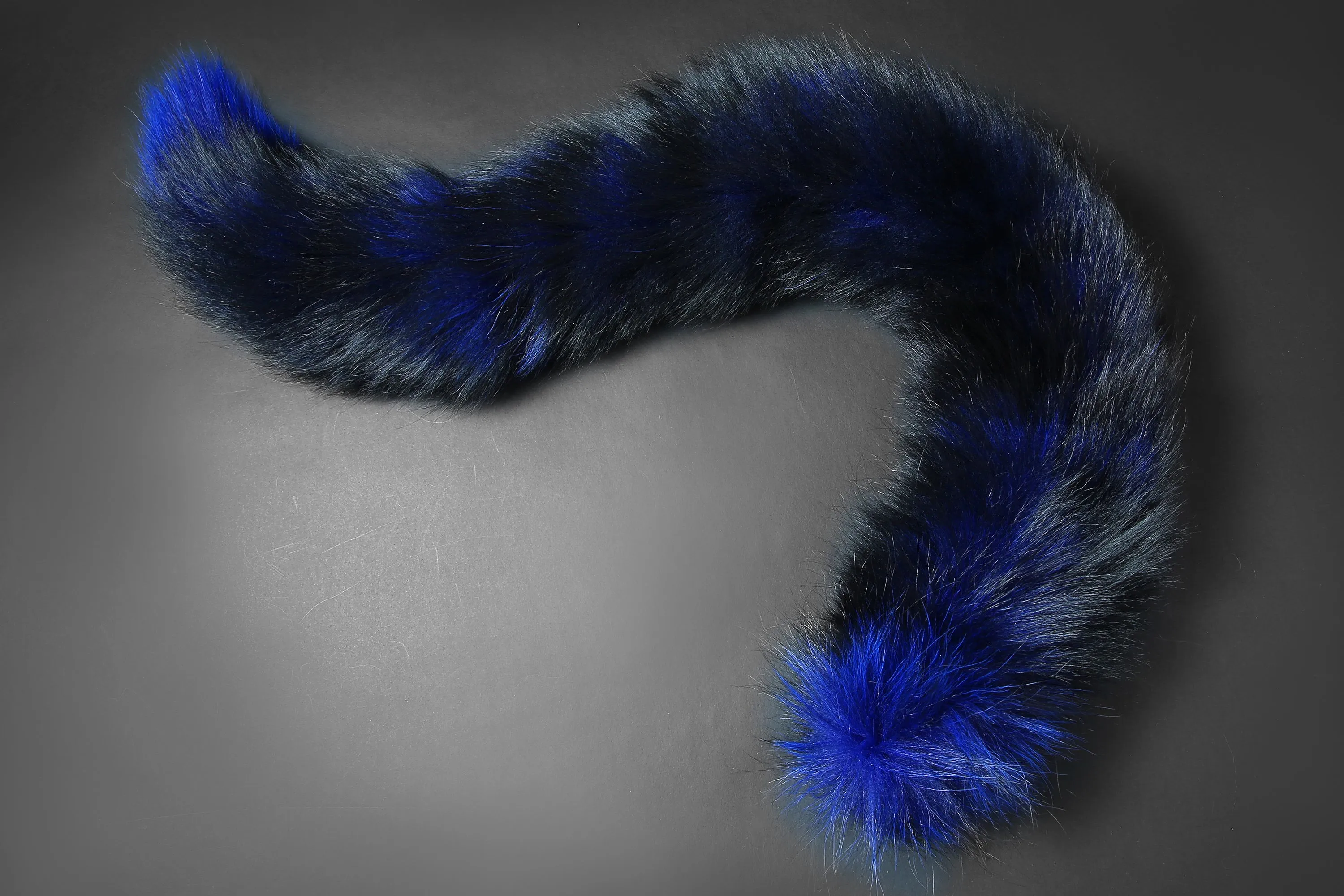 Blue fox tail and ear set fox ear and tail cosplay wolf tail and ear cat tail cat ear anime cosplay kitten earsand tail kittenplay Halloween