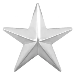 Civil Air Patrol Name Plate Rank: Brigadier General