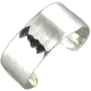 EC31-ss