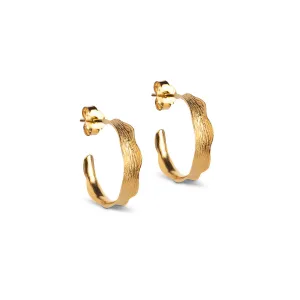 Hoops, Ane Small