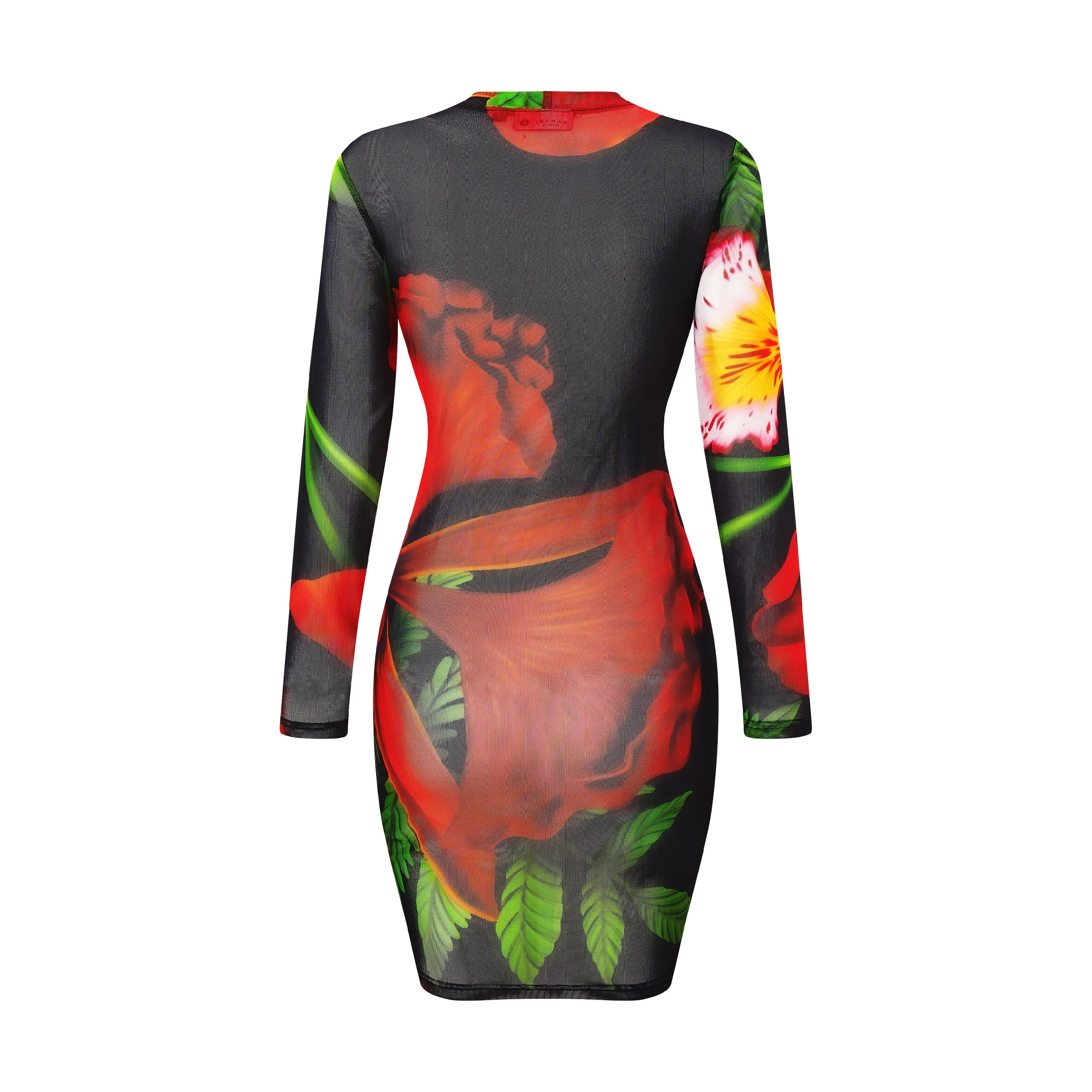 THE DELONIX MESH DRESS